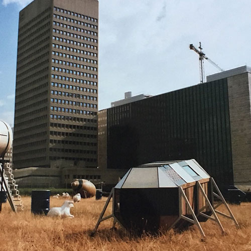 Ronnie Kommene Bedbug on a rooftop